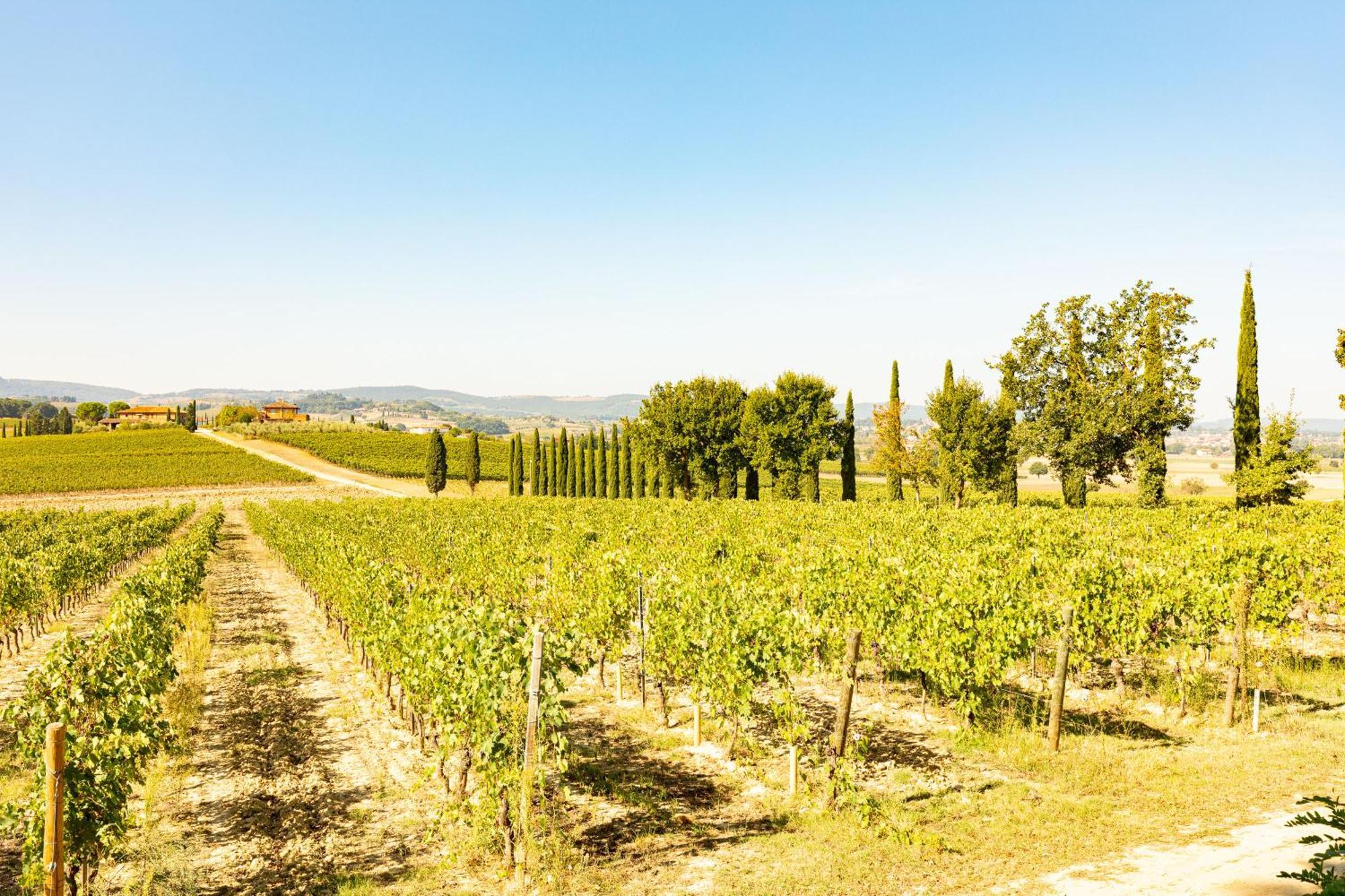 Appartamento Nobile Montepulciano Stazione Kültér fotó