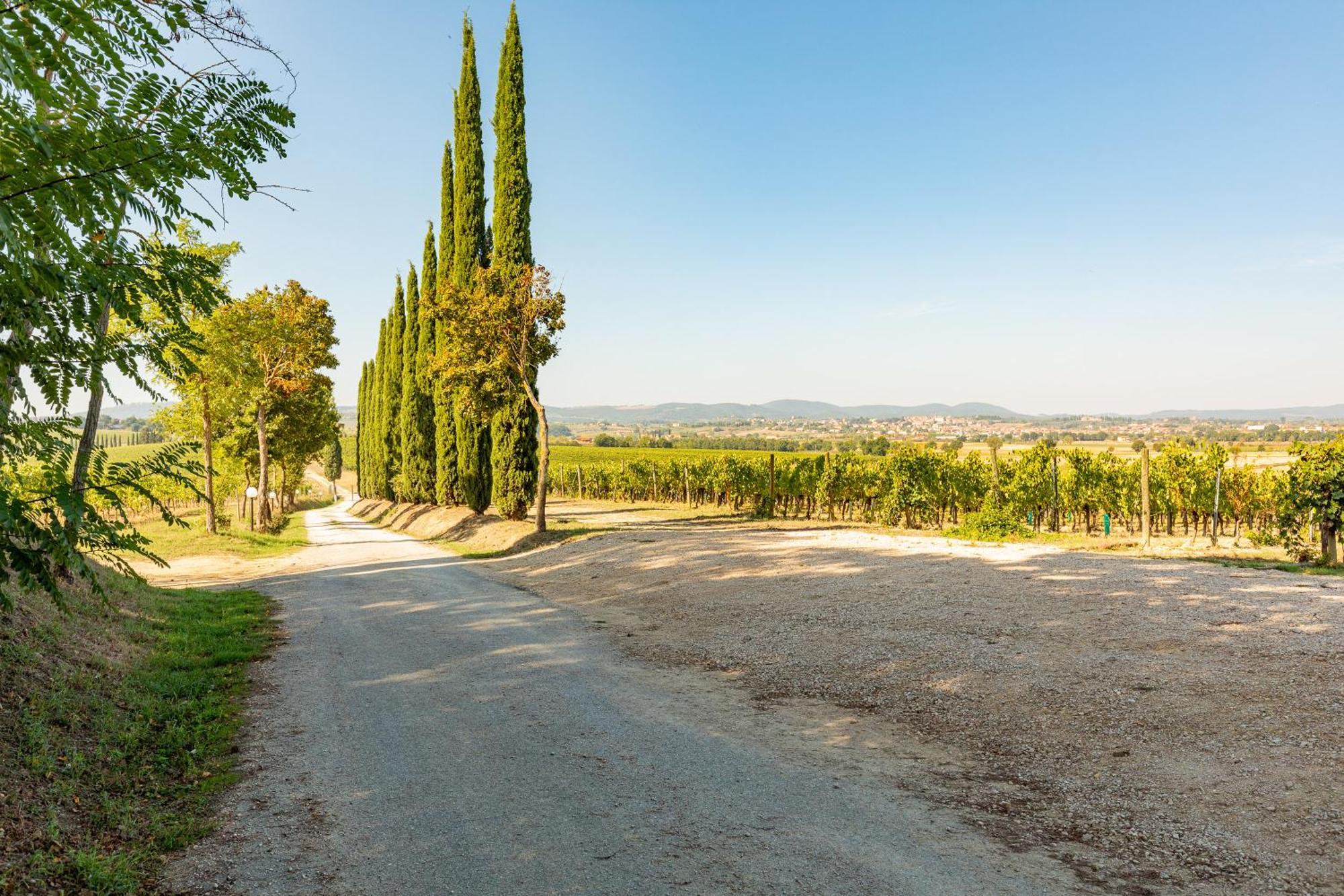 Appartamento Nobile Montepulciano Stazione Kültér fotó